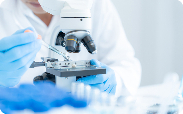 研究イメージ画像